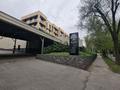 10-бөлмелі пәтер · 453 м² · 4/4 қабат, Жаксылык Ушкемпирова 34 — Ерменсай, бағасы: 239 млн ₸ в Алматы, Бостандыкский р-н — фото 29