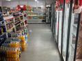 Магазины и бутики · 160 м² за 50 млн ₸ в Шу — фото 13