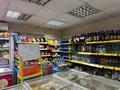 Свободное назначение, магазины и бутики · 91 м² за 75 млн ₸ в Астане, Алматы р-н — фото 34