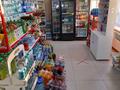 Магазины и бутики • 181.4 м² за 64 млн 〒 в Кокшетау — фото 8