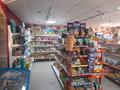 Магазины и бутики • 181.4 м² за 64 млн 〒 в Кокшетау — фото 21