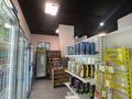 Продуктовый магазин Айрис Маркет на Кабанбай батыра · 55 м², бағасы: 6.2 млн ₸ в Астане, Нура р-н — фото 10