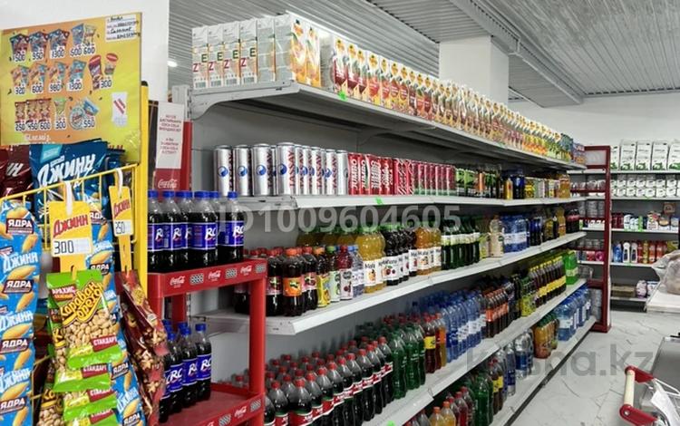 Дүкендер мен бутиктер, сұлулық салондары · 140 м², бағасы: 35 млн ₸ в Батыре — фото 2