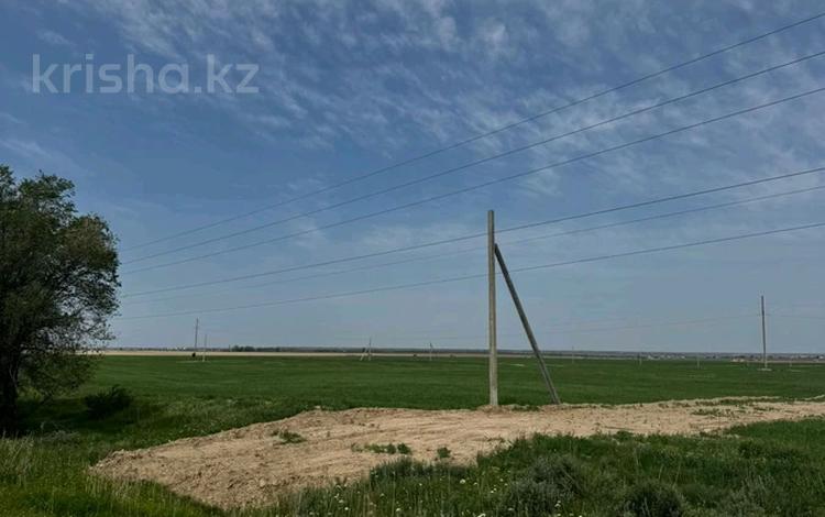 Участок · 2 га, Трасса 19 за 250 000 ₸ в Караой — фото 2