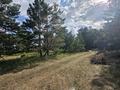 Отдельный дом · 4 комнаты · 160 м² · 200 сот., Луговая 59 — Луговая за 289 млн ₸ в Кокшетау — фото 9