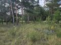 Отдельный дом · 4 комнаты · 160 м² · 200 сот., Луговая 59 — Луговая за 289 млн ₸ в Кокшетау — фото 14