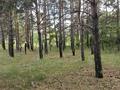 Отдельный дом · 4 комнаты · 160 м² · 200 сот., Луговая 59 — Луговая за 289 млн ₸ в Кокшетау
