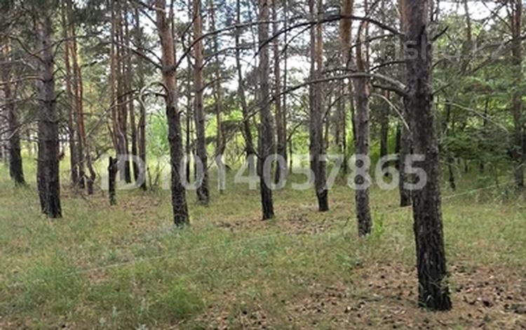 Отдельный дом · 4 комнаты · 160 м² · 200 сот., Луговая 59 — Луговая за 289 млн ₸ в Кокшетау — фото 28