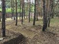 Отдельный дом · 4 комнаты · 160 м² · 200 сот., Луговая 59 — Луговая за 289 млн ₸ в Кокшетау — фото 17