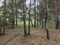 Отдельный дом · 4 комнаты · 160 м² · 200 сот., Луговая 59 — Луговая за 289 млн ₸ в Кокшетау — фото 18
