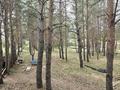 Отдельный дом · 4 комнаты · 160 м² · 200 сот., Луговая 59 — Луговая за 289 млн ₸ в Кокшетау — фото 6