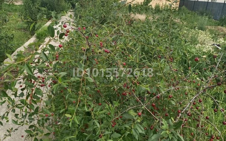 Жеке үй · 5 бөлме · 120 м² · 10 жүзд., Жеңіс 32, бағасы: 25 млн ₸ в Талапкер  — фото 3
