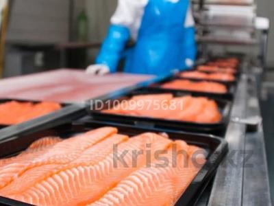 Промбаза · 5 соток, Микрорайон Береке, Микрорайон Береке 69 за 1 млн 〒 в Костанае