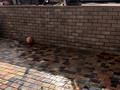 Отдельный дом · 5 комнат · 150 м² · 4 сот., мкр Акжар за 95 млн ₸ в Алматы, Наурызбайский р-н — фото 36