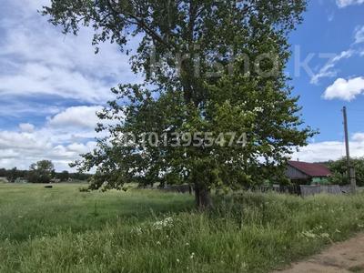 Участок · 25 соток, Орталык 13 — Дерево за 5 млн ₸ в Красный Кордон
