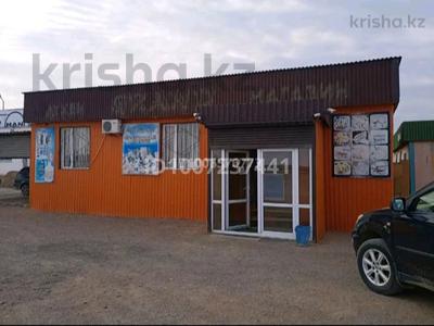 Свободное назначение · 100 м² за 5 млн ₸ в Балхаше