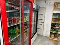 Отдельный дом · 3 комнаты · 120 м² · 9.8 сот., Мыржақып Дулатов 30 за 16 млн ₸ в Аксае — фото 21