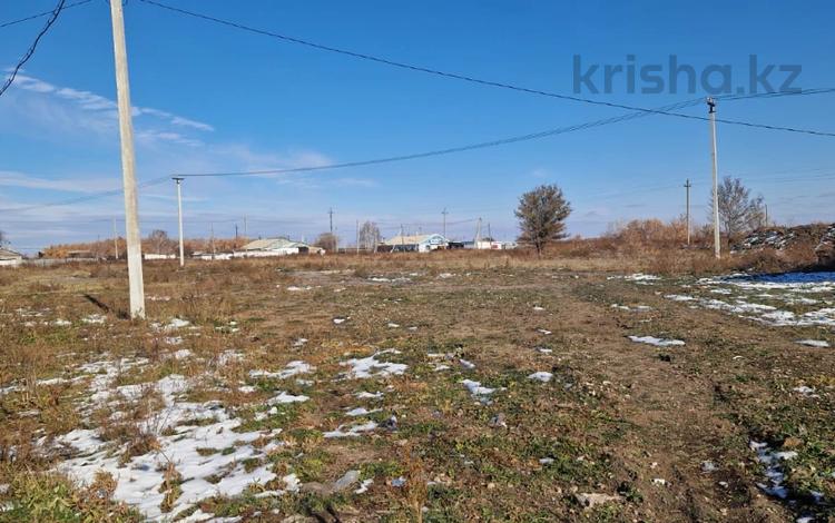 Участок · 60 соток, улица Поселок КСМК за ~ 6.7 млн ₸ в  — фото 2