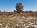 Участок · 60 соток, улица Поселок КСМК за ~ 6.7 млн ₸ в  — фото 7