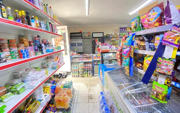 Магазины и бутики · 40 м² за 50 млн ₸ в Алматы, Бостандыкский р-н — фото 9