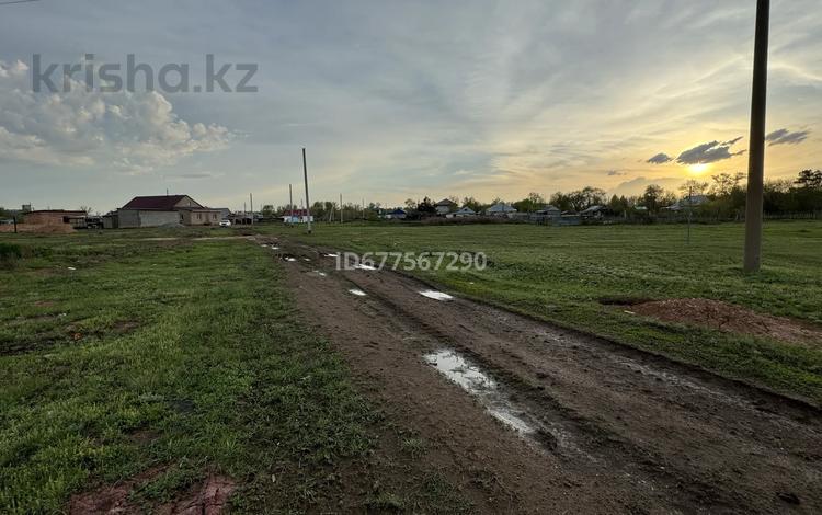 Участок · 18 соток, ст Тонкерис за 3 млн ₸ в Акмолинской обл. — фото 11