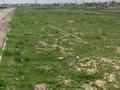 Участок · 9 соток, Жана Курылыс-10 84 — Шардара, ул. Жана Курылыс-10, уч. 84 за 1.5 млн ₸ — фото 3