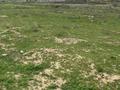 Участок · 9 соток, Жана Курылыс-10 84 — Шардара, ул. Жана Курылыс-10, уч. 84 за 1.5 млн ₸ — фото 7