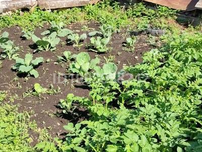 Отдельный дом · 3 комнаты · 58.8 м² · 58 сот., Боровая 12 — ДОСААФ за 9 млн 〒 в Риддере