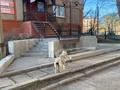 Свободное назначение, магазины и бутики · 65.8 м² за 15 млн ₸ в Топаре — фото 11