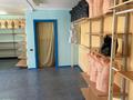 Свободное назначение, магазины и бутики · 65.8 м² за 15 млн ₸ в Топаре — фото 12