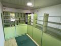 Свободное назначение, медцентры и аптеки · 60 м² за 15 млн ₸ в Шардара — фото 11