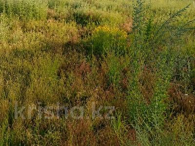 Участок · 6 соток, Шамалган 163 уч 328/21 за 3.5 млн ₸