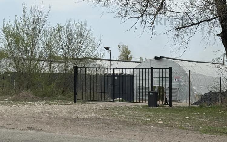 Ферма с автоматизированными теплицами · 50000 м², бағасы: 85 млн 〒 в  — фото 2