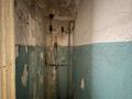 3-комнатная квартира · 65 м² · 2/2 этаж, Достык 4 за 1.5 млн ₸ в Сарыобе — фото 21