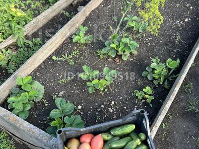 Отдельный дом · 4 комнаты · 160 м² · 4.5 сот., Николая Вавилова 66 за 40 млн 〒 в Кокшетау