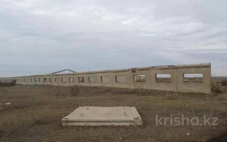 Сельское хозяйство · 1302 м² за 700 000 ₸ в Кишкенеколе — фото 2