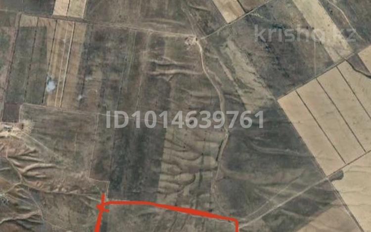 Жер телімі · 300 га, Междуреченск, бағасы: 80 млн ₸ — фото 4