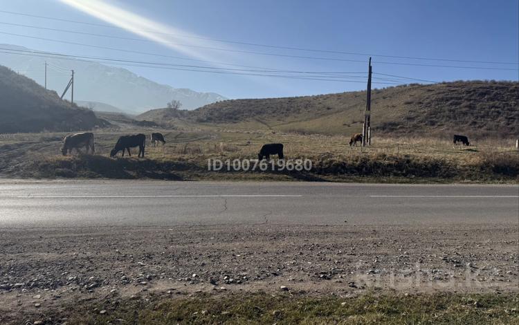 Участок · 20 соток, Каскелен за 30 млн 〒 — фото 2