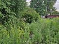Дача · 2 комнаты · 30 м² · 8 сот., Гмз за 3.5 млн ₸ в Актобе, мкр Гормолзавод — фото 5