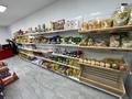 Магазины и бутики · 50 м² за 300 000 ₸ в Атырау, мкр Зарослый — фото 4