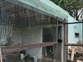 Саяжай · 2 бөлме · 48 м² · 12 жүзд., ПБС-2 84 — Дачный массив 1-ая водоколонка, бағасы: 5 млн ₸ в Балхаше — фото 4