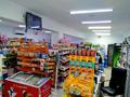 Магазины и бутики • 200 м² за 90 млн 〒 в Таразе — фото 6