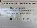 Жеке үй · 2 бөлме · 25 м², Кенесары 9 — Возле магазина Смак, бағасы: 30 000 ₸ в Бурабае — фото 16