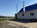 Отдельный дом · 5 комнат · 200 м² · 25 сот., Болашак 8 за 37 млн ₸ в Уштобе — фото 19