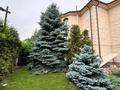 Жеке үй · 6 бөлме · 1000 м² · 20 жүзд., Керей-Жанибек Хандар, бағасы: 2.5 млрд ₸ в Алматы, Медеуский р-н — фото 26