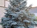 Отдельный дом · 4 комнаты · 101.8 м² · 6 сот., Казыбековых 50 за 38 млн ₸ в Жезказгане — фото 13
