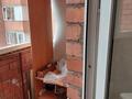 2-бөлмелі пәтер · 70 м² · 14/17 қабат, Иманова 41 — Иманова-Брусиловского, бағасы: 30 млн ₸ в Астане, р-н Байконур — фото 23
