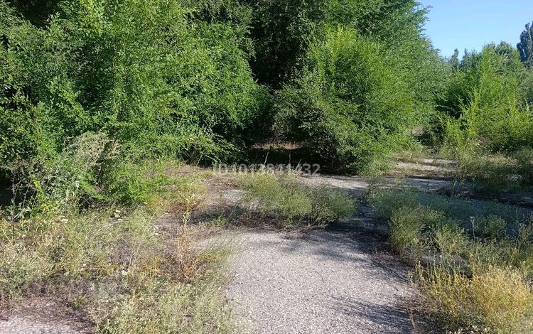 Жер телімі · 60 сотық, Токтарова 14, бағасы: 18 млн ₸ в Талдыкоргане — фото 2