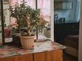 Часть дома · 3 комнаты · 55.6 м² · 7 сот., Ержанова 5/2 — 9ой школы за 12.5 млн ₸ в Жезказгане — фото 22