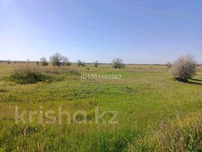 Участок · 5 га, Нура за 80 млн 〒